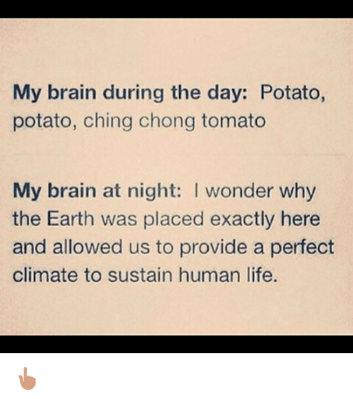 potato