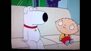 stewie